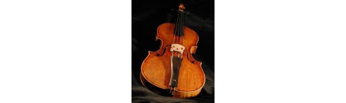 Aulas de Violino 